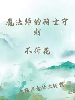 魔法师的骑士守则